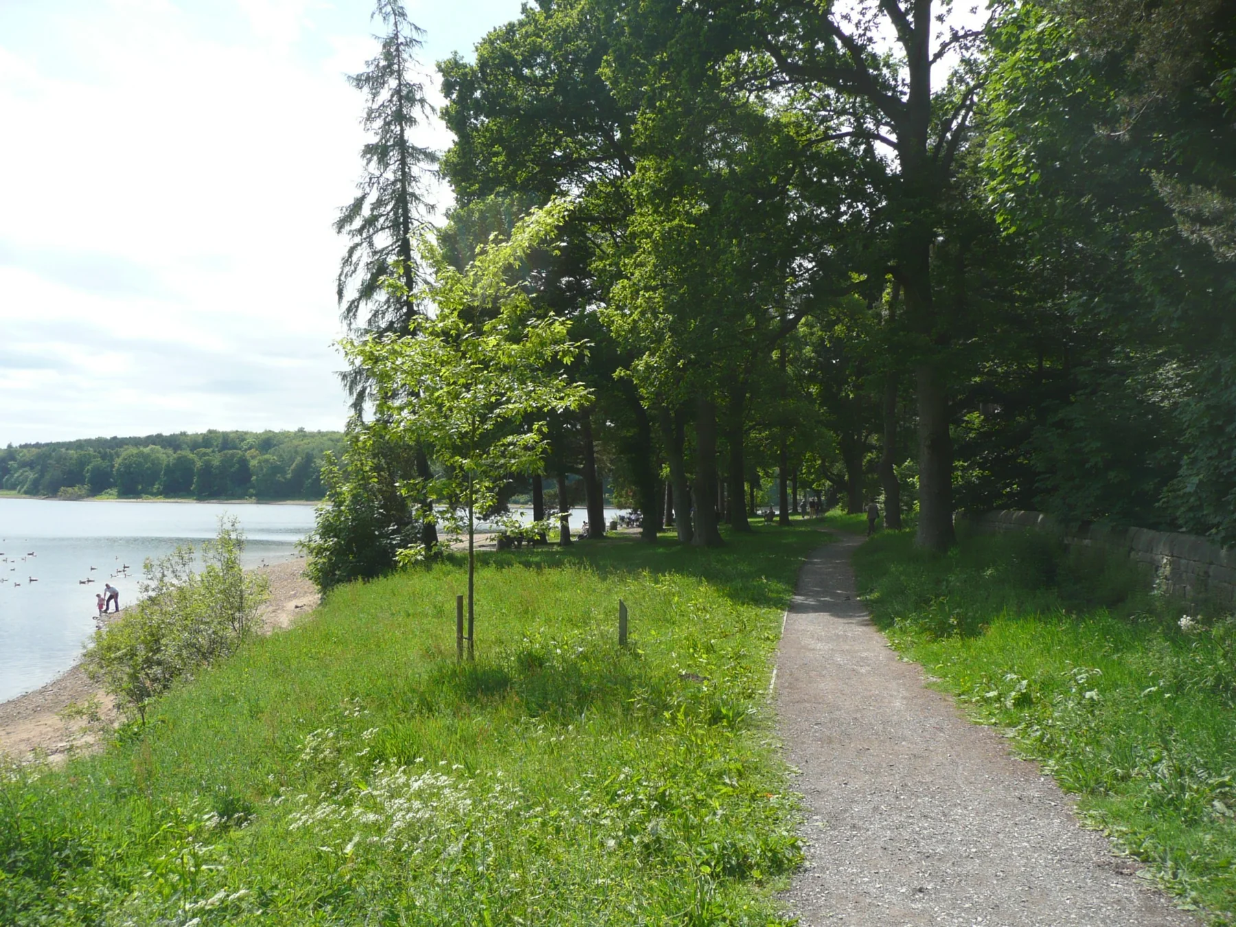 A broad gravel walking path beside Swinsty Reservoir, with leafy trees and grass between the path and water