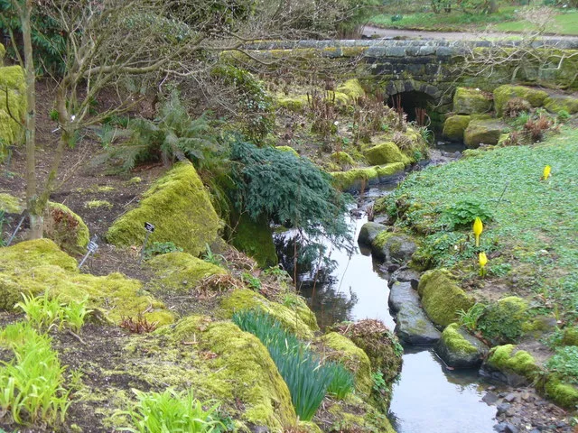 The stream at RHS Garden Harlow Carr running between mossy rocks and damp-loving planting, with a stone bridge beyond