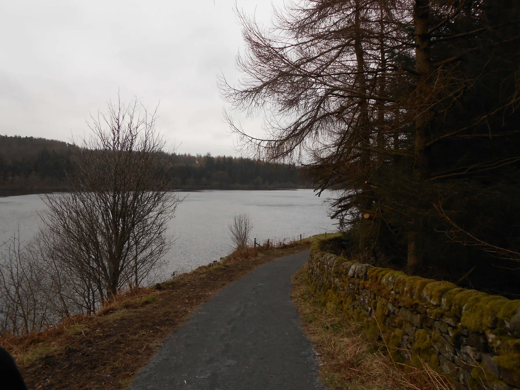 A surfaced path following the shore of Fewston Reservoir beside a low stone wall and bare trees