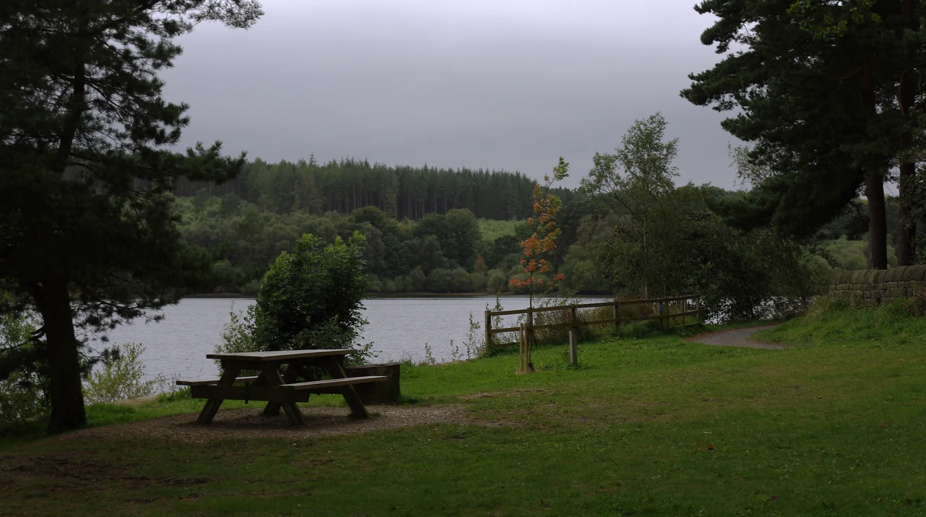 Picnic tables on the grassy shore of Swinsty Reservoir, with trees framing the water and wooded bank beyond